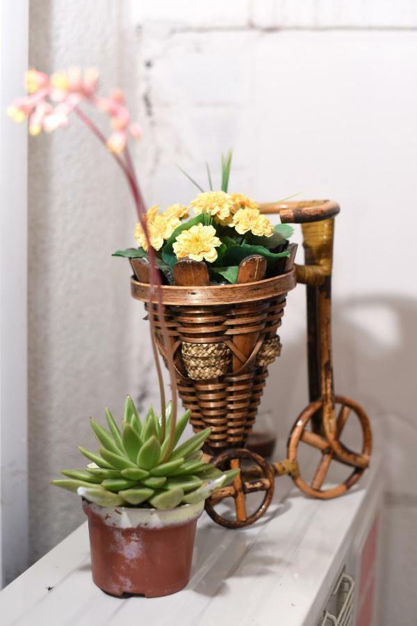 Apartment Karla زادار المظهر الخارجي الصورة